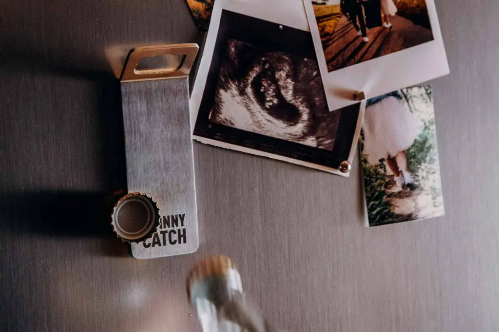 JOHNNY-CATCH-MAGNET-4